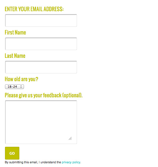Custom Fields frontend Custom Fields frontend
